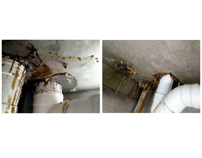 衛(wèi)生間頂板注漿堵漏失敗案例&mdash;&mdash;后采用背水壓反滲漏防水涂料完美修復(fù)